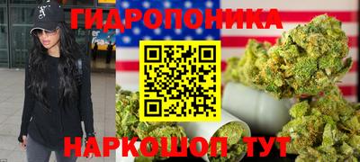 mdpv Брянск